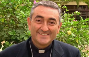 Mons. Héctor Vargas. Crédito: Conferencia Episcopal de Chile 
