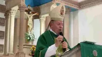 Mons. Cristobal Ascencio pronunciando su homilía el 2 de julio. Crédito: Redes Sociales de la Diócesis de Apatzingán