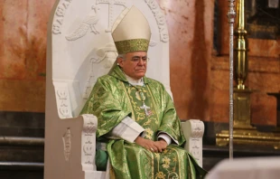 Mons. Demetrio Fernu00e1ndez, Obispo de Cu00f3rdoba (Espau00f1a). Foto: Diu00f3cesis de Cu00f3rdoba.  