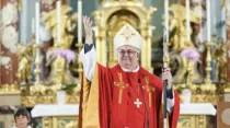 Mons. Denis Theurillat, Obispo Auxiliar de la Diócesis de Basilea (Suiza). Foto: Diócesis de Basilea