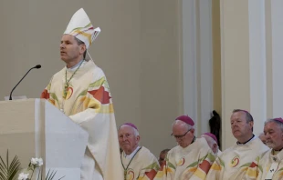Mons. Fintan Gavin, Obispo de Cork y Ross en Irlanda. Foto: Mercedes De La Torre / ACI 