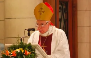 Mons. Héctor Aguer / Crédito: Arzobispado de La Plata 