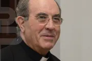 Arzobispo de Sevilla responde a quien afirma que el Papa Francisco es “feminista”