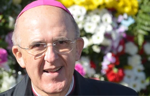 Mons. Carlos Osoro, Arzobispo de Madrid (Espau00f1a) Foto: Carlos Gonzu00e1lez Garcu00eda/Archimadrid.   