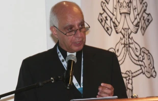 Mons. Rino Fisichella / Foto: Eduardo Berdejo 