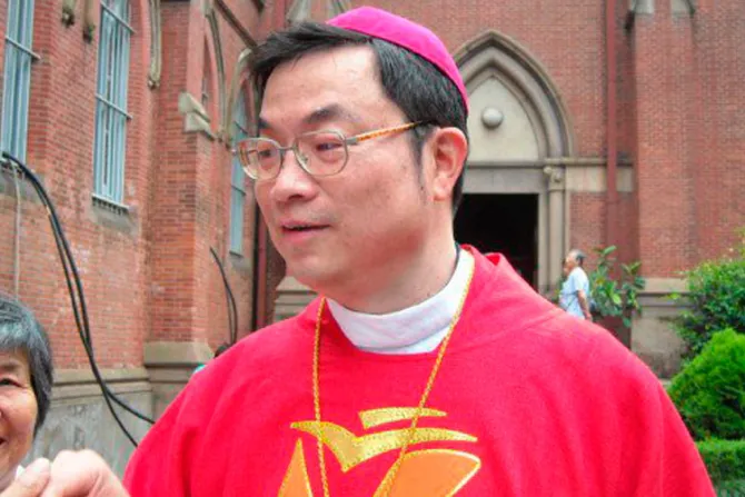 Papa Francisco y Santa Sede prudentes por declaraciones de obispo chino