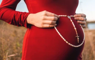 Foto referencial. Cru00e9dito: Nina Hill en Unsplash 