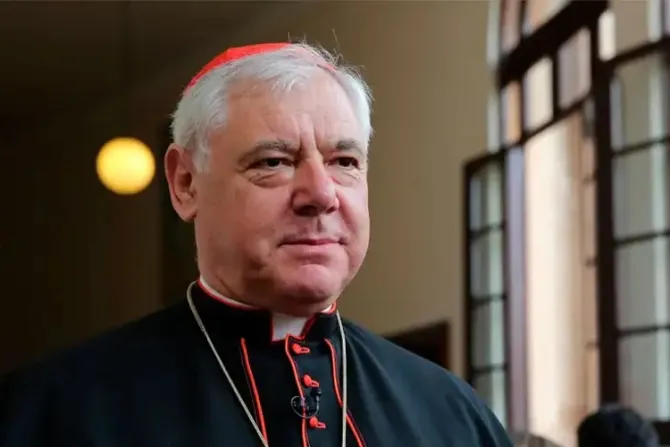 Cardenal Müller: Los políticos católicos deben luchar contra el aborto y la eutanasia