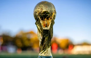 Imagen referencial / Copa del Mundo. Cru00e9dito: Rhett Lewis / Unsplash. 