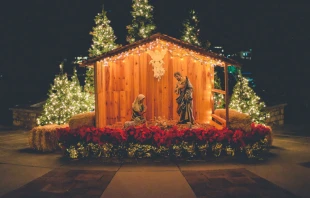 Foto referencial. Cru00e9dito: Unsplash 