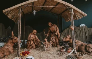 Imagen referencial. Cru00e9dito: Walter Chu00e1vez / Unsplash. 