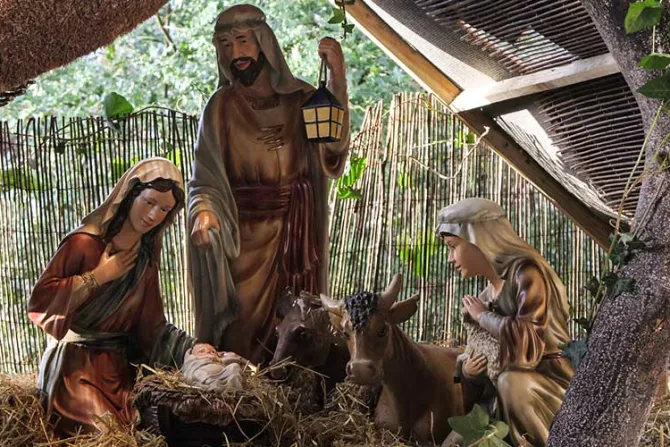Que contemplar a Jesús, José y María suscite misericordia y amor en familias, pide el Papa