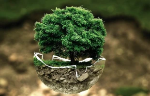 Imagen referencial. Cru00e9dito: Pixabay / Dominio pu00fablico. 