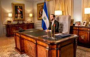 Nayib Bukele. Cru00e9dito: Presidencia El Salvador 