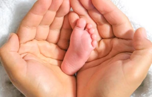 Imagen referencial / Cru00e9dito: Pixabay 