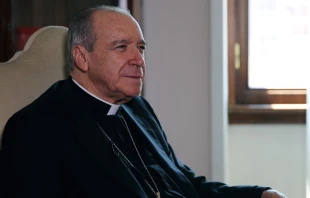 Cardenal Nicolu00e1s de Jesu00fas Lu00f3pez Rodru00edguez / Foto: Bohumil Petrik (ACI Prensa) 