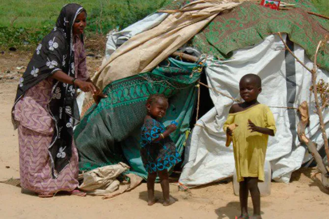Cáritas denuncia que Boko Haram ha provocado una tragedia humanitaria en Níger