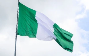 Imagen referencial | Cru00e9dito: Flickr de jbdodane (CC BY-NC 2.0) 