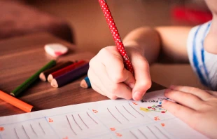 Imagen referencial. Cru00e9dito: Pixabay 