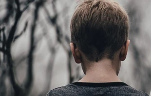 Foto referencial. Cru00e9dito: Pixabay 