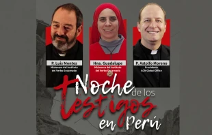 Afiche de La Noche de los Testigos 