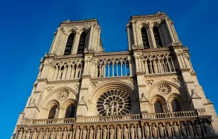 Catedral de Notre Dame. Foto: Pixabay / Dominio público 