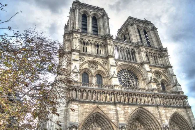 Parlamento de Francia aprueba ley para reconstrucción de Notre-Dame