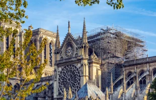 Catedral de Notre Dame de Paru00eds. Cru00e9dito: Shutterstock 