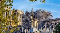 Catedral de Notre Dame de París. Crédito: Shutterstock