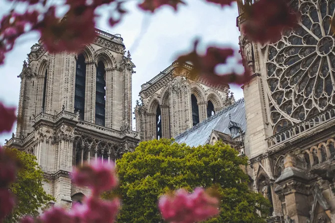 Un año después del incendio en Notre-Dame, sacerdote francés le rinde un homenaje  