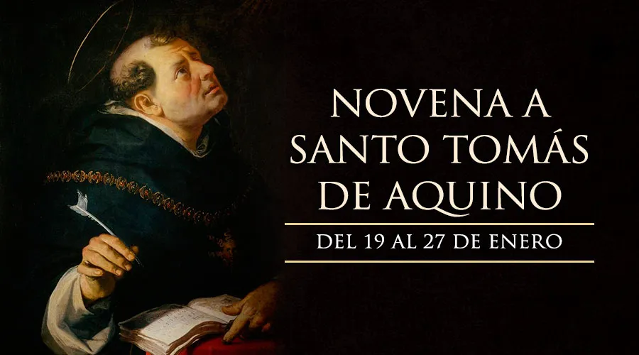 Hoy inicia la Novena a Santo Tomás de Aquino, patrono de la educación católica