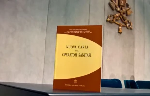 La Nueva Carta para los Trabajadores Sanitarios. Foto: Miguel Pu00e9rez Pichel (ACI Prensa) 