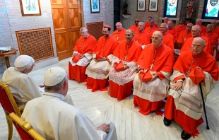 Los nuevos cardenales fueron presentados al Papa emu00e9rito Benedicto XVI luego del Consistorio del 27 de agosto de 2022. Cru00e9dito: Vatican Media 