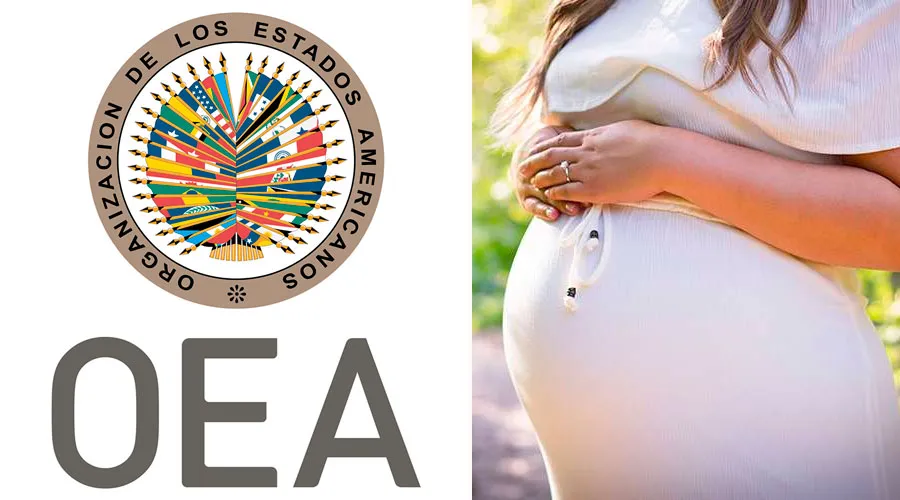 Símbolo de la OEA - Mujer embarazada. Crédito: Facebook OEA - Pixabay