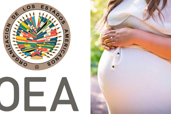 Joven líder a OEA: Queremos una sociedad que proteja la vida y la familia