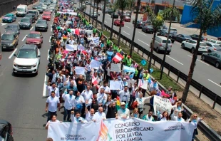 Miles marcha en contra de la Organizaciu00f3n de Estados Americanos (OEA), el 6 de octubre de 2022. Cru00e9dito: Congreso Iberoamericano por la Vida y la Familia 