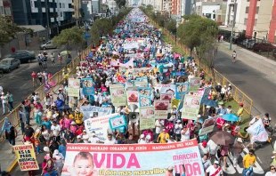 Marcha por la Vida en Peru00fa / Cru00e9dito: Eduardo Berdejo - ACI Prensa 