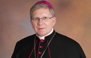 Mons. Juan Antonio Menu00e9ndez, Obispo de Astorga (Espau00f1a). Foto: Diu00f3cesis Astorga.  