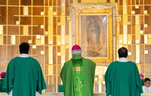 Imagen referencial / Celebraciu00f3n de la Misa en la Basu00edlica de Guadalupe. Foto: Maru00eda Langarica / ACI Prensa. 