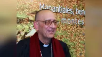 Mons. Juan José Omella. Foto: Grupos Libres.
