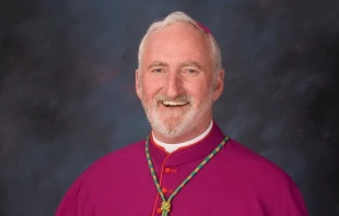 Mons. David O'Connell. Cru00e9dito: USCCB 