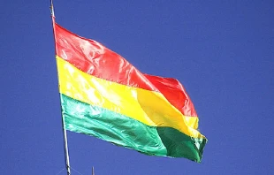 Imagen referencial. Cru00e9dito: Valdimey Pimenta/Wikipedia (CC BY 2.0) 