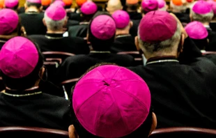 Foto referencial de obispos. Cru00e9dito: Daniel Ibu00e1u00f1ez / ACI Prensa 