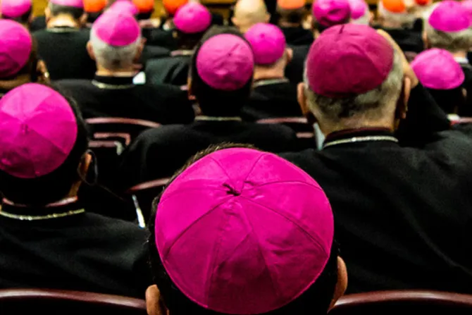 Cardenales y obispos alertan riesgo de cisma de la Iglesia en Alemania