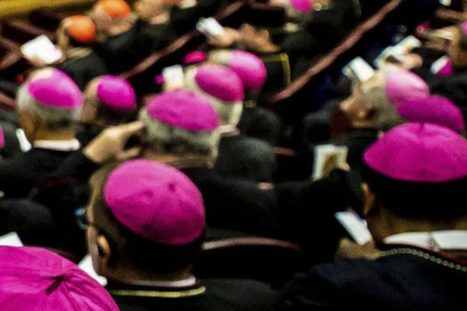 Rechazan artículos que hablan de una “conspiración” de obispos contra el Papa Francisco