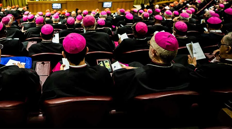 Imagen referencial / Sínodo de los Obispos. Crédito: Daniel Ibáñez / ACI Prensa.