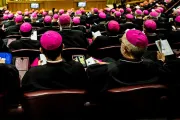 Sínodo de la Amazonía: Obispo brasileño advierte de “tiempos difíciles” para la Iglesia