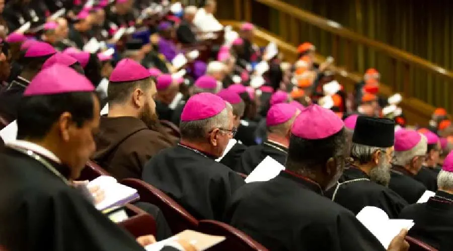 Imagen referencial / Sínodo de los Obispos en 2018. Crédito: Daniel Ibáñez / ACI Prensa.?w=200&h=150