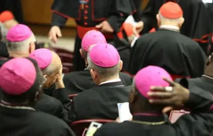 Obispos reunidos durante un Sínodo. Crédito: Daniel Ibáñez / ACI 