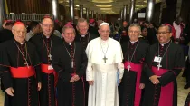 Obispos brasileños junto al Papa Francisco / Crédito: CNBB